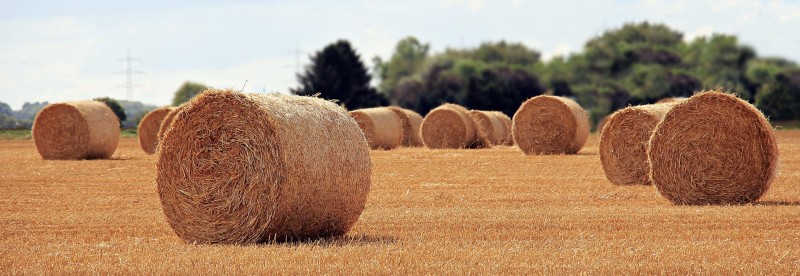 straw-role.jpg straw-role.jpg